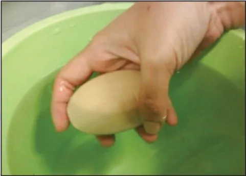 Sertu - It Was Just A Brush Until It Wasn’t 3 Guideline-For-Sertu-Purification-According-To-Islamic-Perspective-7.Jpg