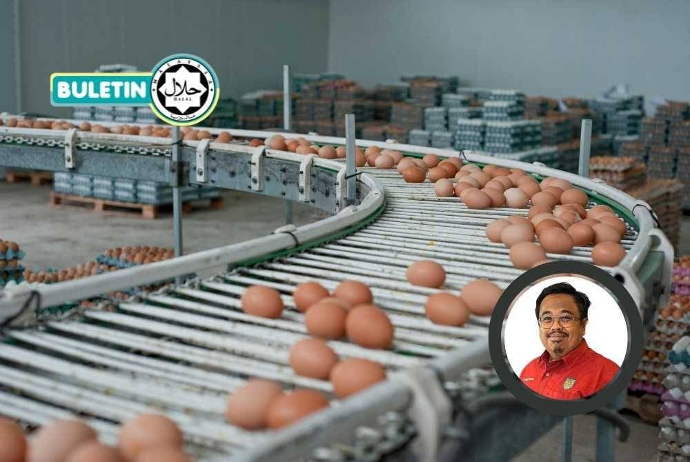 Halal Aset Negara, Bukan Sekadar Label 3 Aset 1